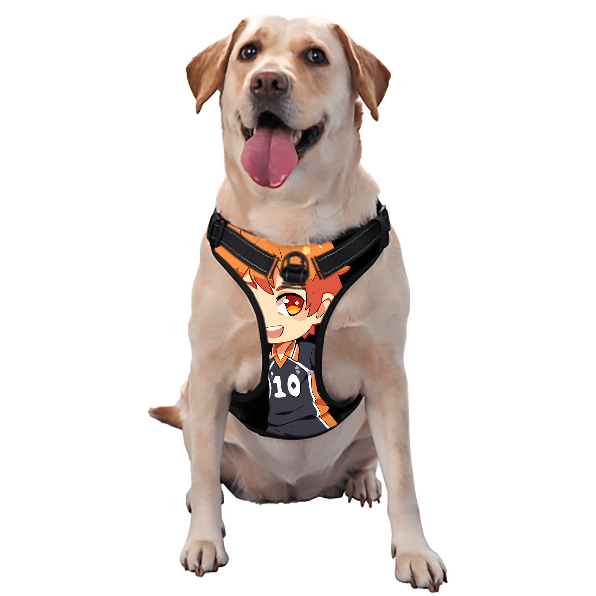 （画像用） ハイキュー!! Haikyu!! ペット用ハーネス